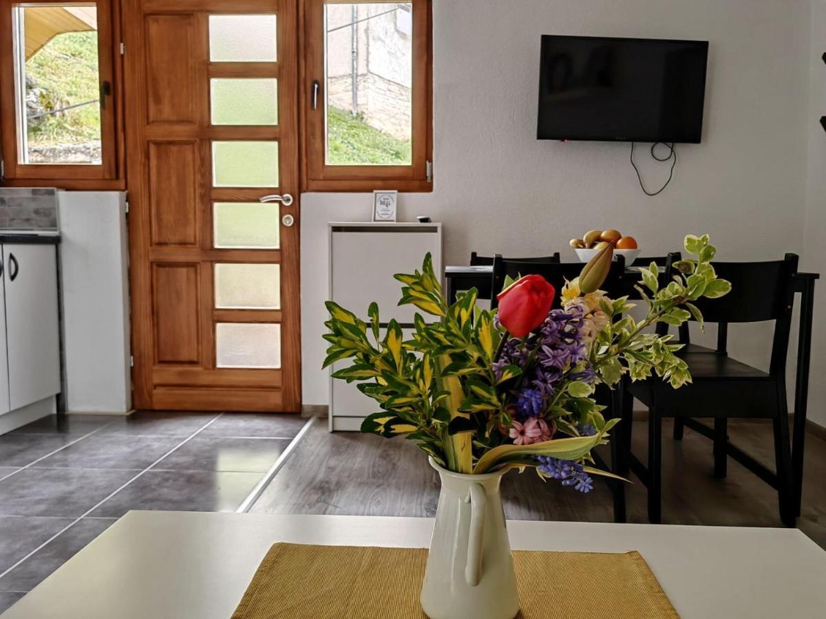 Ive Andrica 3 Lägenhet Višegrad Exteriör bild